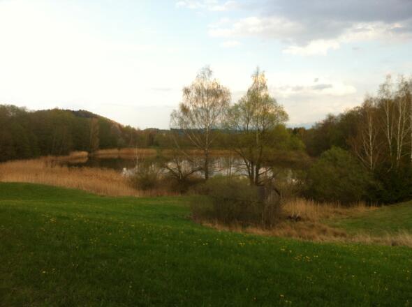 Weiher auf dem Guggenberg