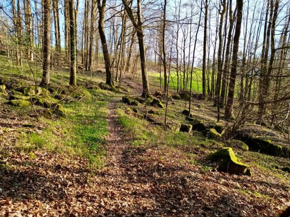 Weg nach Landasberg