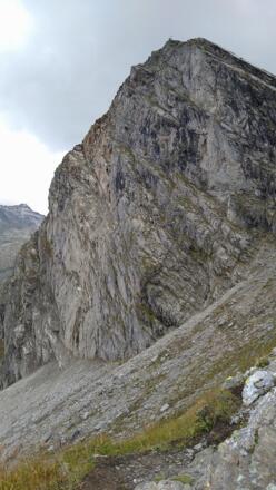Graukogeltop