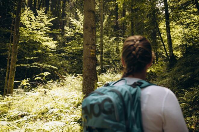Immer den Markierungen entlang