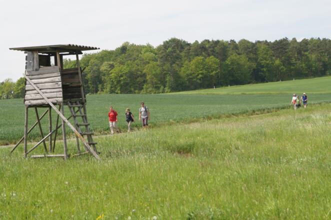 Zwischen Pfändhausen und Hambach