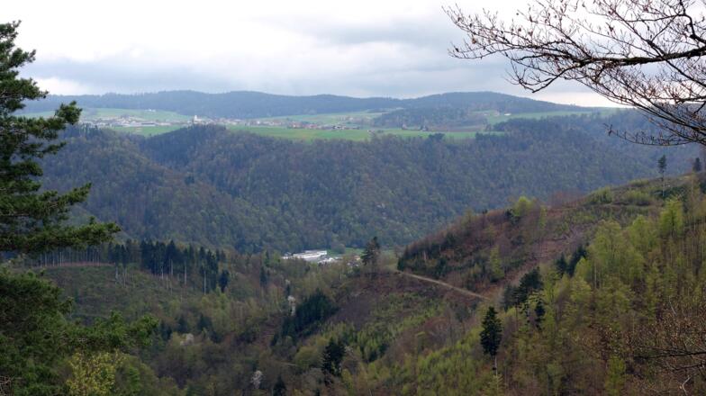 Ruine Burgstall ~525m, Blick ins Mühlviertel