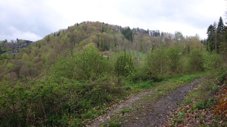 Blick von ~405m. Über diesen Berg führt der Weg.