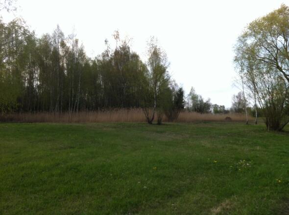 Grandlmoos beim Insektenhotel