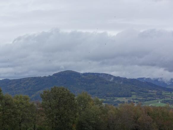 Blick auf den Gallner