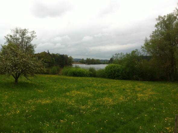 Wunderschöner Weitlick auf den Nußberger Weiher