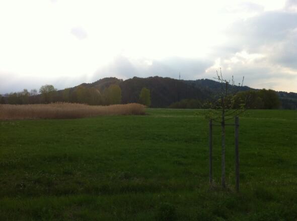 Vom Weg kann man die Alpen und den Hohen Peißenberg erblicken