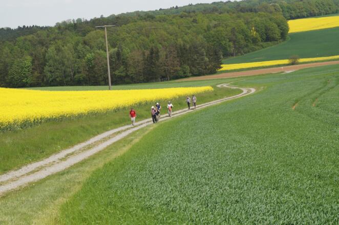 Weg nach Pfändhausen