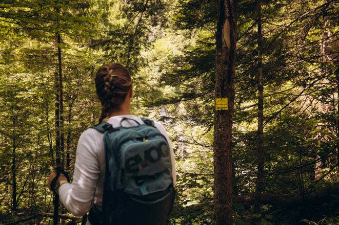 Kurz vor den Weissbachfällen
