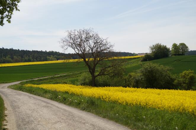Auf dem Weg nach Strahlungen