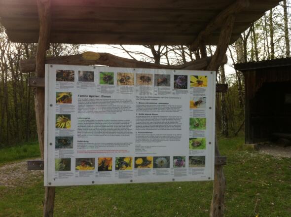 Informationstafel zum Insektenhotel