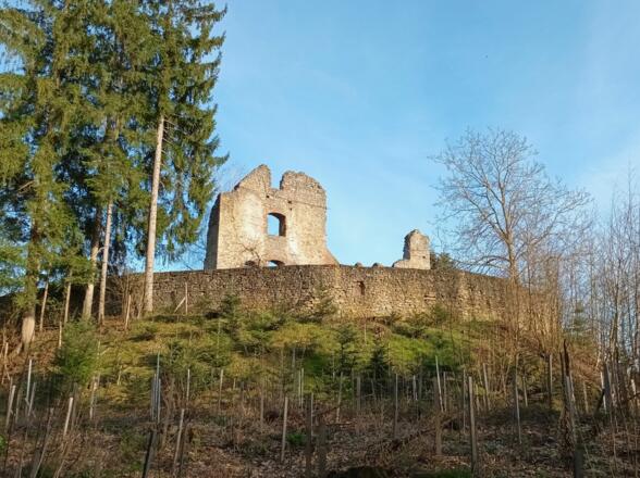 Burgruine Haibach von Süden