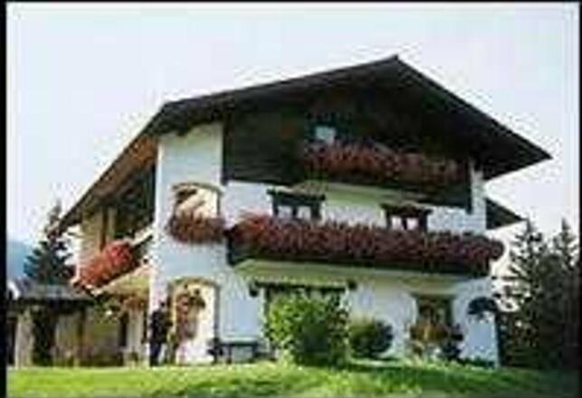 Blick Rot Flüh und Gimpel