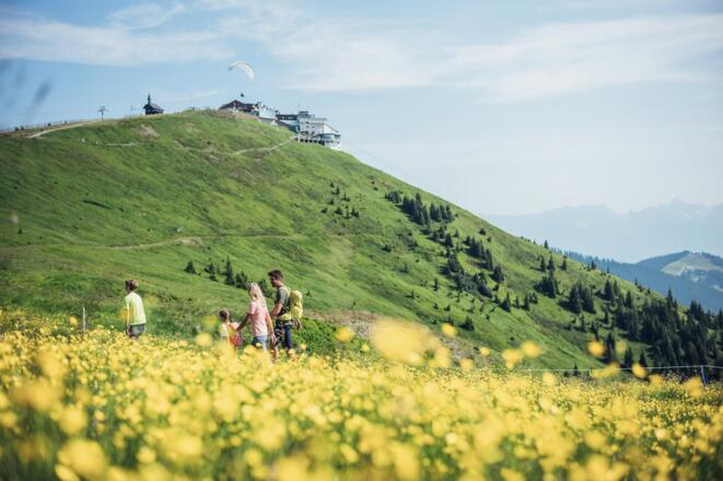 Bergsommer Schmittenhöhe