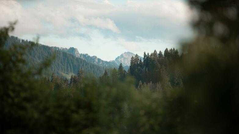 Blick Wellnessbereich