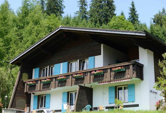Aussenansicht im Sommer