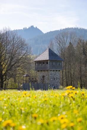 Ritterspielplatz und Burgruine Falkenstein im Hintergrund