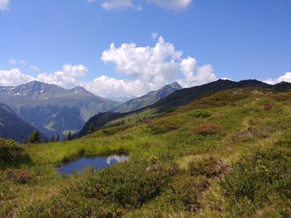 Hochmoor entlang des Weges
