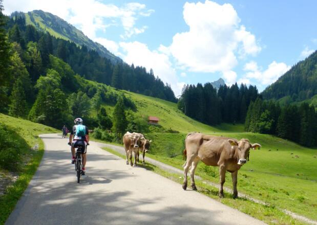 Radeln und Mountainbiking