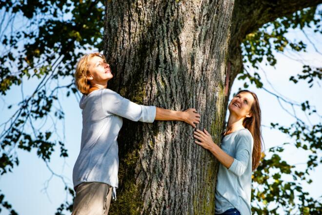 CurhausBadKreuzen101WGDDonauOberoesterreichTourismusGmbHErberKl