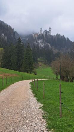 Neuschwanstein