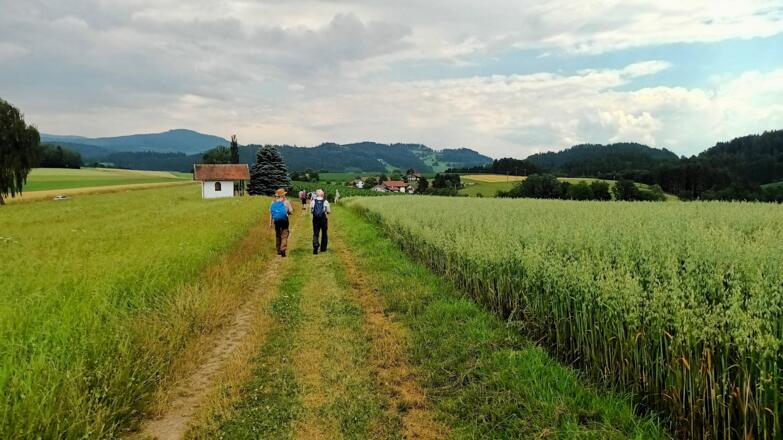 Wanderweg von Untermühlbach nach Neukirchen/Haggn