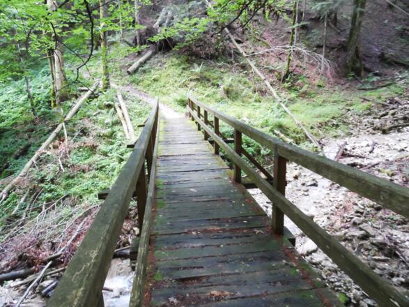 Brücke über den Steinbach