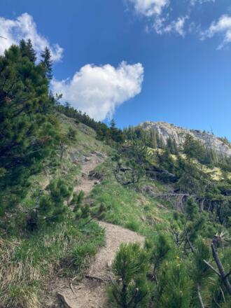 Kleiner Steig unterhalb der Kasererwand