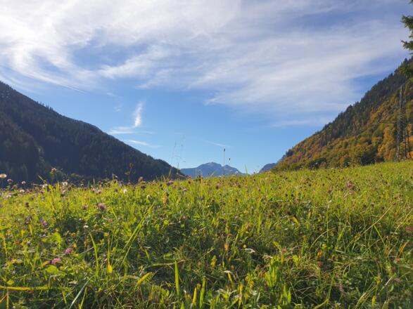 Herbstliche Landschaft in Klösterle am Arlberg