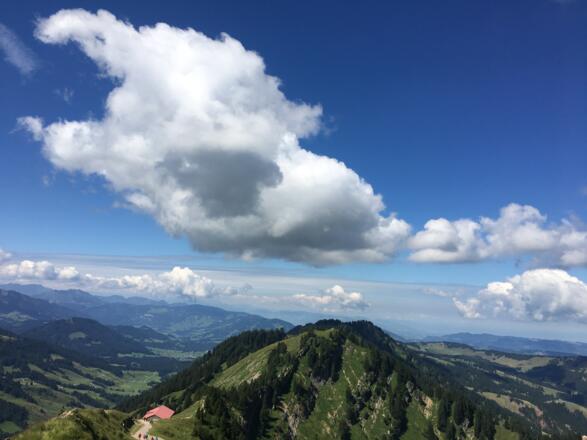 Ausblick vom Hochgrat
