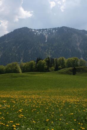 Seeberg von Hochkreuth