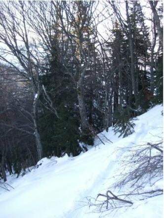 Steile, gefrorene Anstiegsspur im Wald