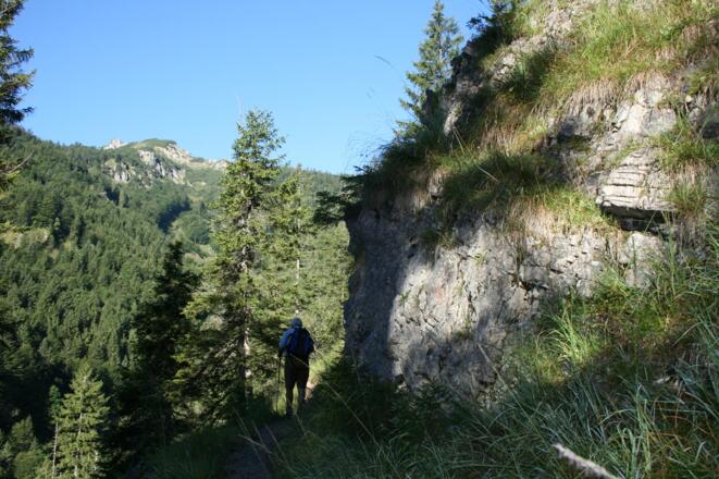 Pfad Richtung Trausnitzalm