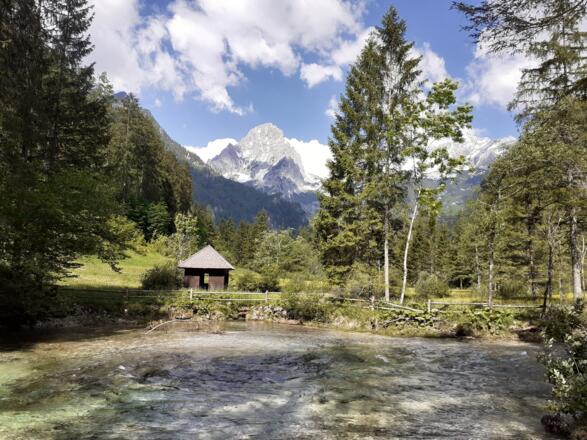 Wehr beim Schiederweiher