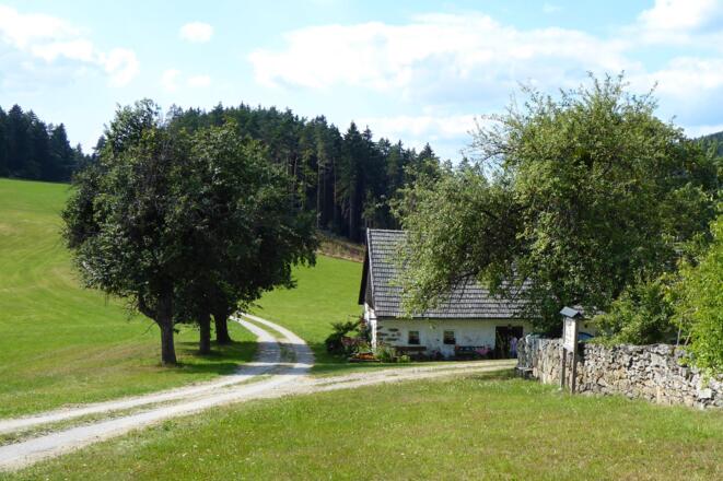 Trockensteinmauer in Hadersdorf