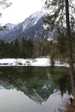 Ostrawitz im Schiederweiher