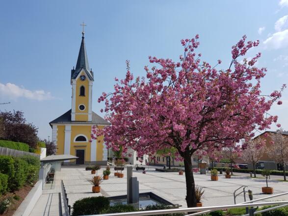 Pfarrkirche Alberndorf im Frühling