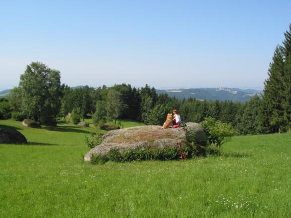 Wanderer Steinwiese.jpg