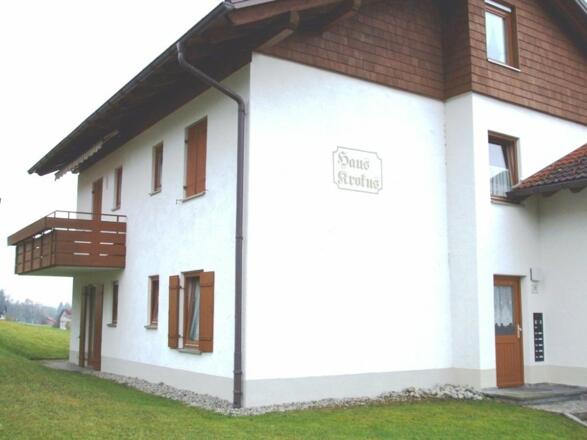 hauskrokusweiler2