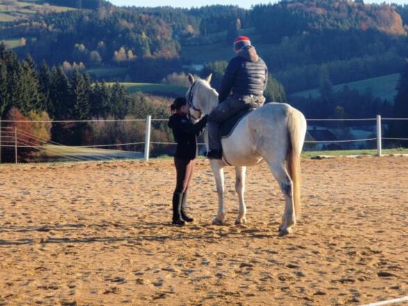 Reitunterricht beim Gro\u00dfreithner