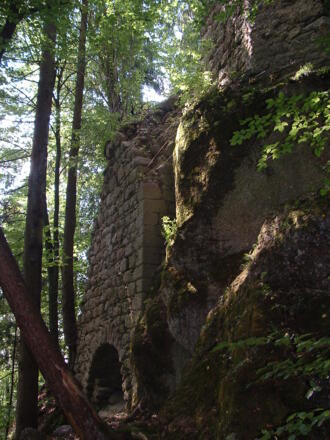 Ruine Saxenegg