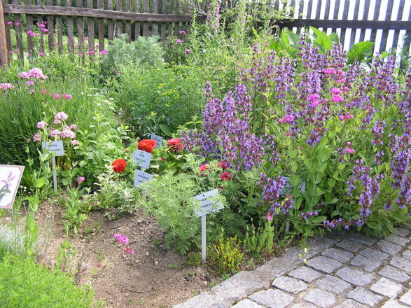 Kraeutergarten