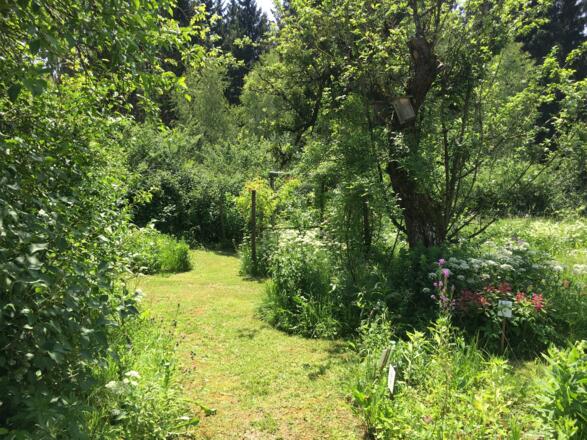 Naturgarten Pienkenhof in Kefermarkt