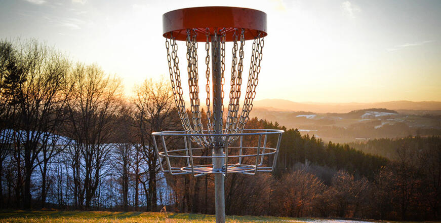 Discgolfkorb