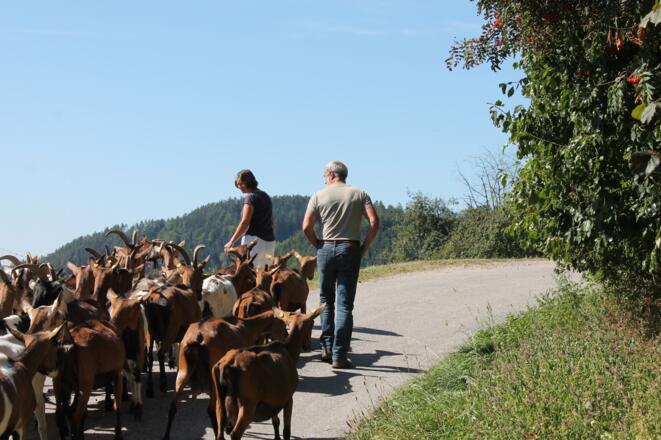 Biohof Mittmannsgruber