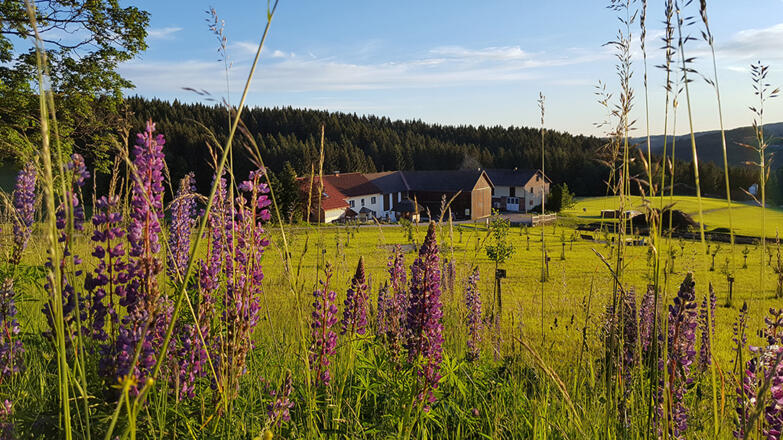 BioBrennerei u Biohof Thauerb%c3%b6ck