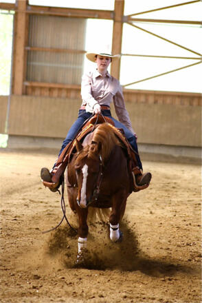 Riegler Stable