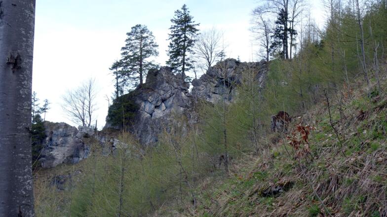 Anstieg in der grasigen Rinne, Blick links zum Grat von 1100m.
