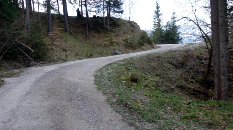 Forststraße ~1020 m erreicht, rechts weiter