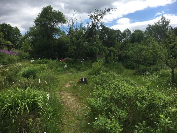 Naturgarten Pienkenhof in Kefermarkt